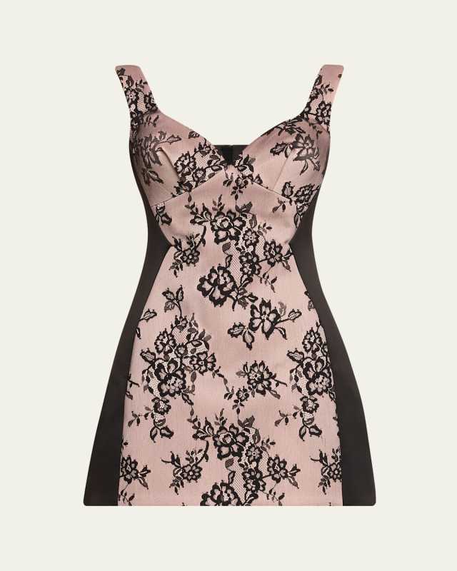 Sculpted Lace Sleeveless Mini Dress